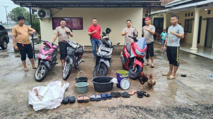 Polsek-Batanghari-Nuban-Polres-Lampung-Timur-menggerebek-perjudian-sabung-ayam11.jpg