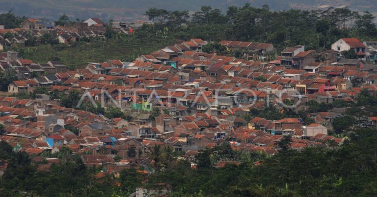 alih-fungsi-lahan-d8x0-dom.jpg