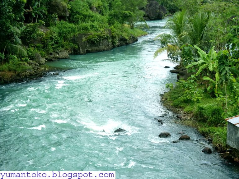 sungai%2Bkebumen.jpg